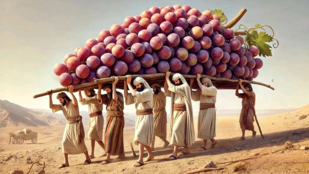 Parashah Shel'ah Lekha